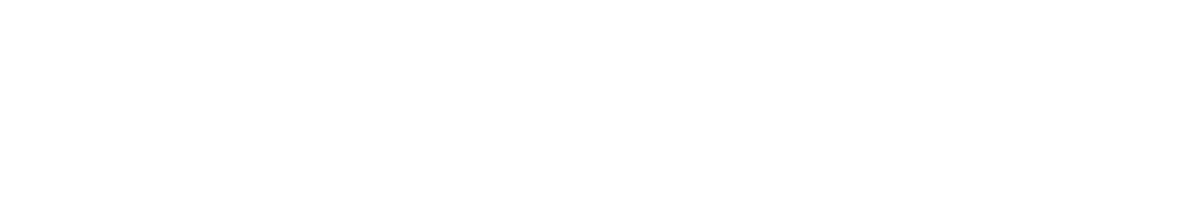 Denexus_MainLogoTM_White-noMargin